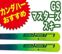 gs_masters
